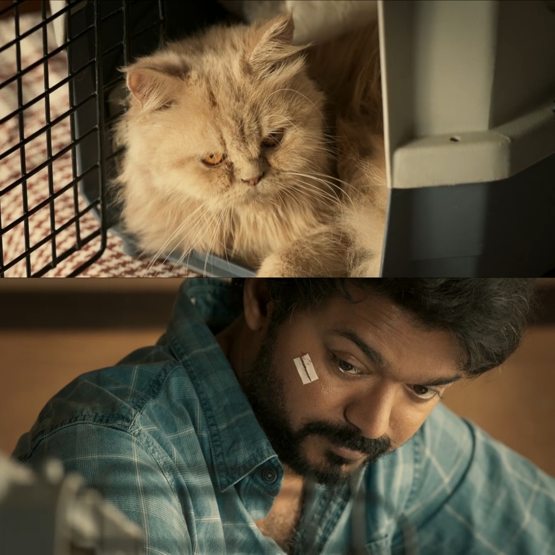 Master meme template