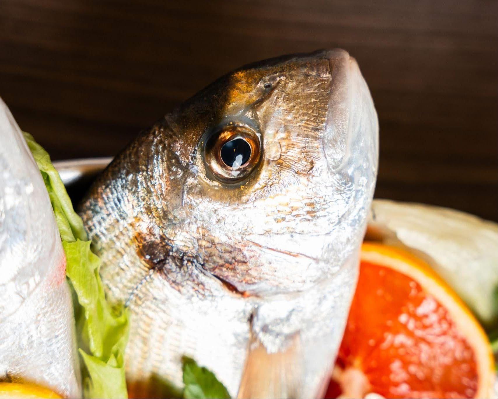 Pesce Pescato