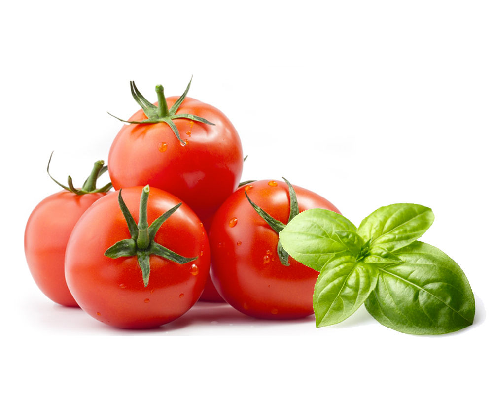 Pomodoro Fresco