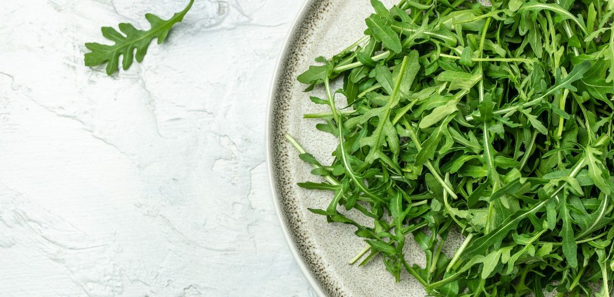 Rucola