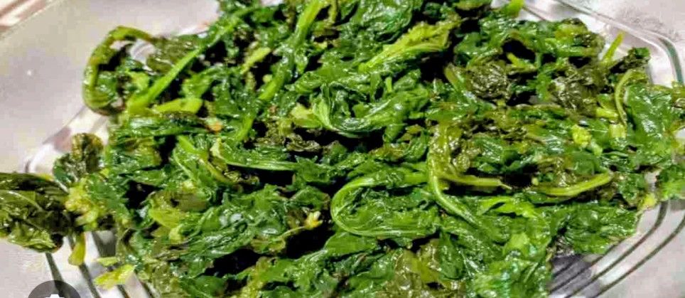 Bieta All'agro