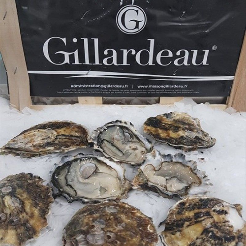 Ostriche Gillardeau