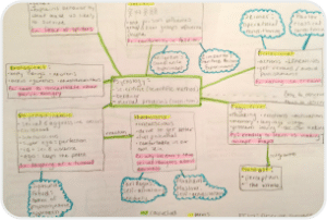 2-Mind Maps