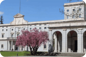 University Of Navarra