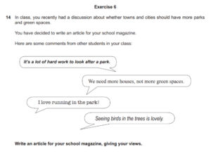 Article Writing - IGCSE English