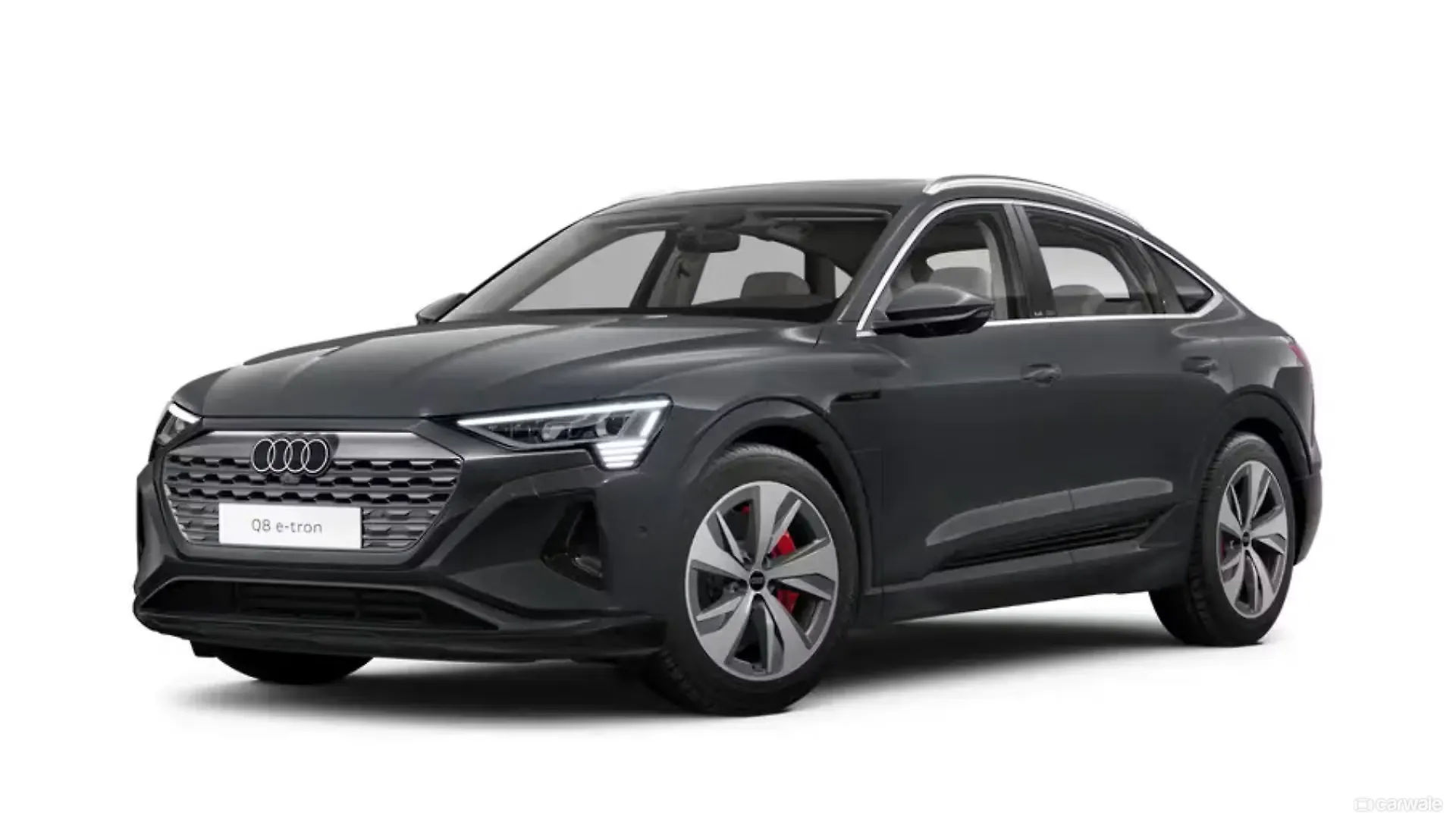Magnet Gray