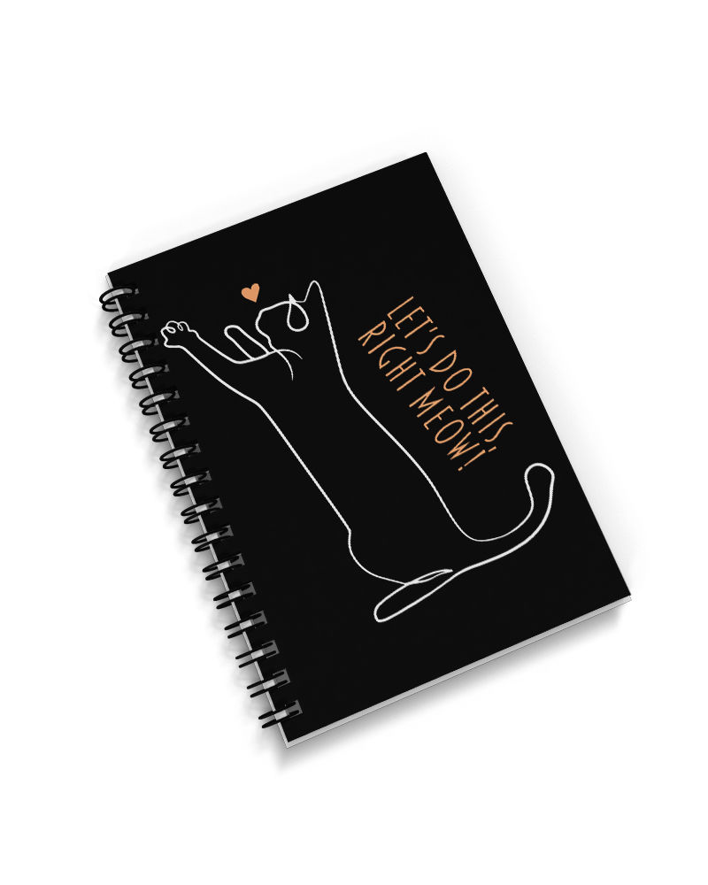 I'll do this right meow spiral diary