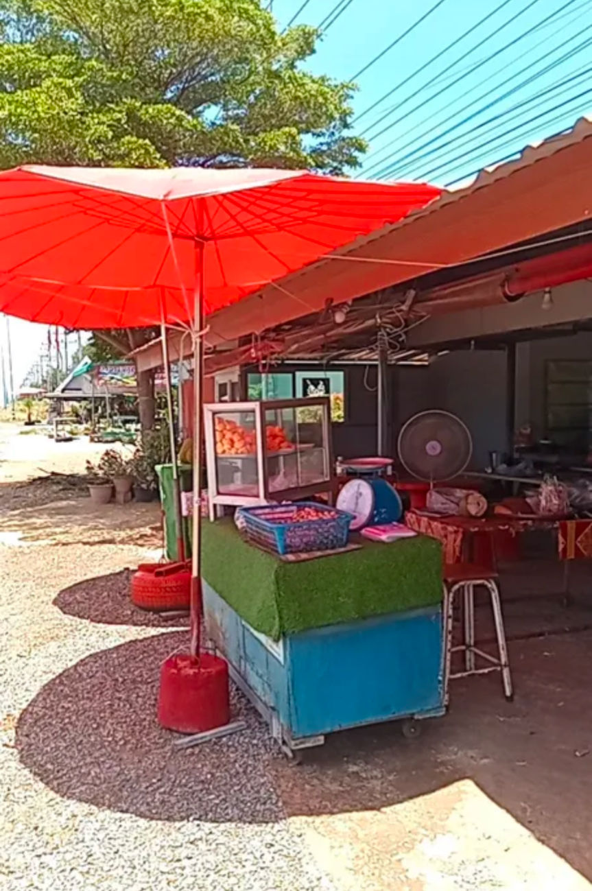 🍈 Fresh Jackfruit for Sale in Lopburi! 🇹🇭