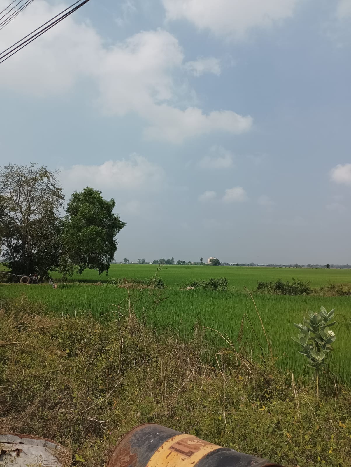 🌿 Large Plot of Land for Sale in Chachoengsao – Ideal for Investment or Development 🏞️