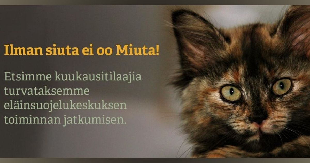 Ilman siuta ei oo Miuta!