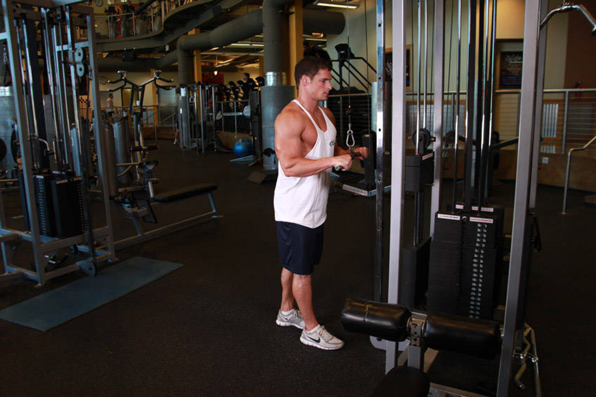 Trizeps-Pushdown (Stange)