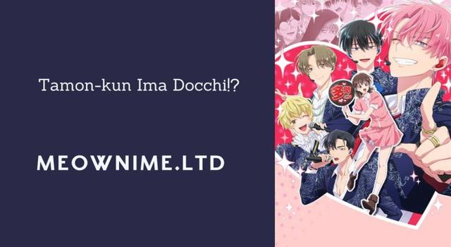 Tamon-kun Ima Docchi!?