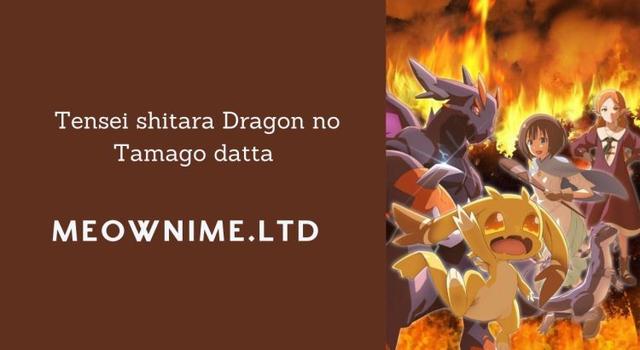 Tensei shitara Dragon no Tamago datta