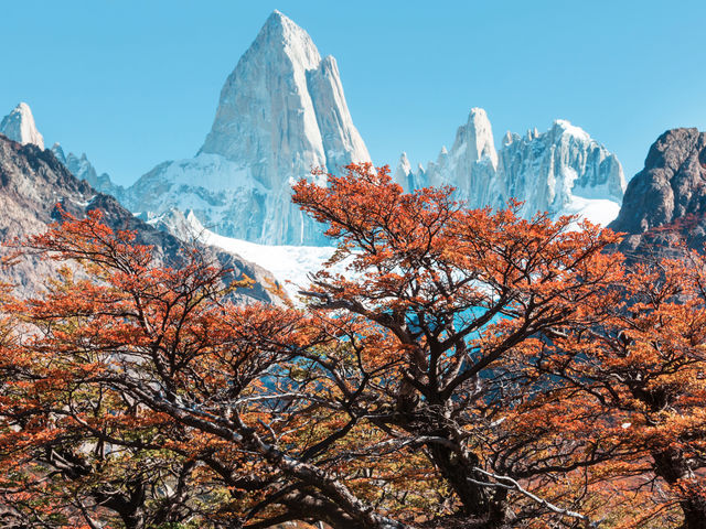 Exploring Patagonia – Trekking Through Glaciers, Peaks & Untamed Wilderness Exploring Patagonia – Trekking Through Glaciers, Peaks & Untamed Wilderness