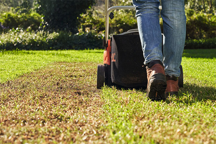 A woman with safety glassing using STIHL Battery Lawn mower to mow her lawn