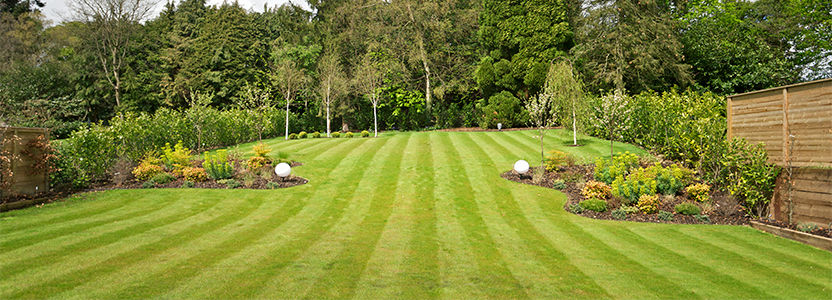 Lawn stripe