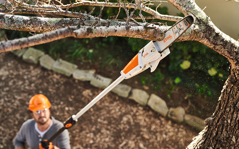 Chainsaw vs Pole Pruner: what is the difference?