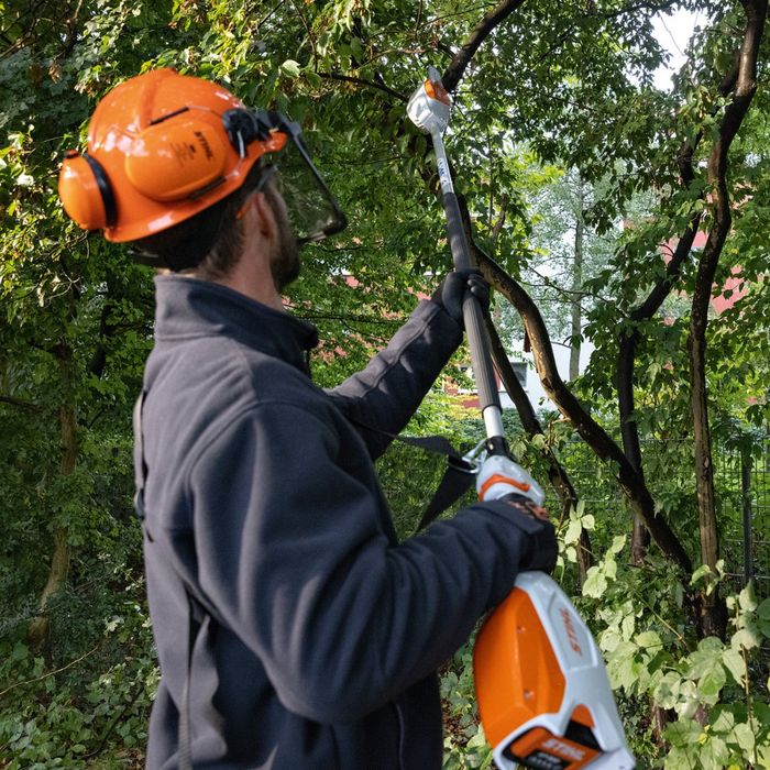 STIHL HTA 66 BATTERY POLE CHAINSAW TOOL STIHL SHOP