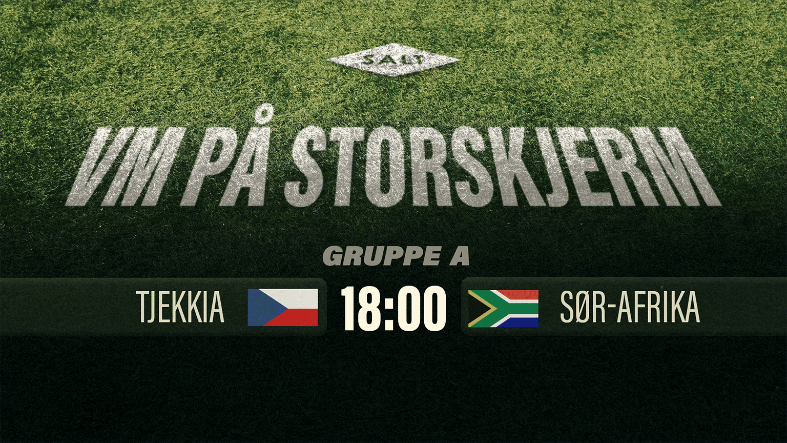 Tjekkia - Sør-Afrika