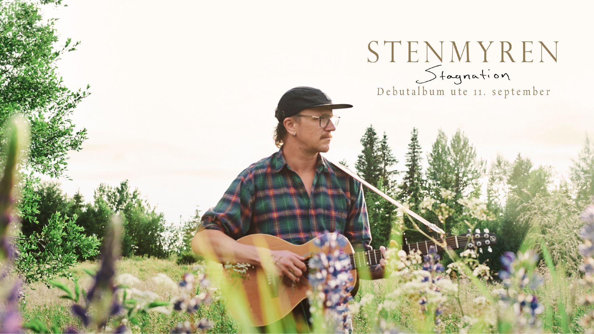 Stenmyren