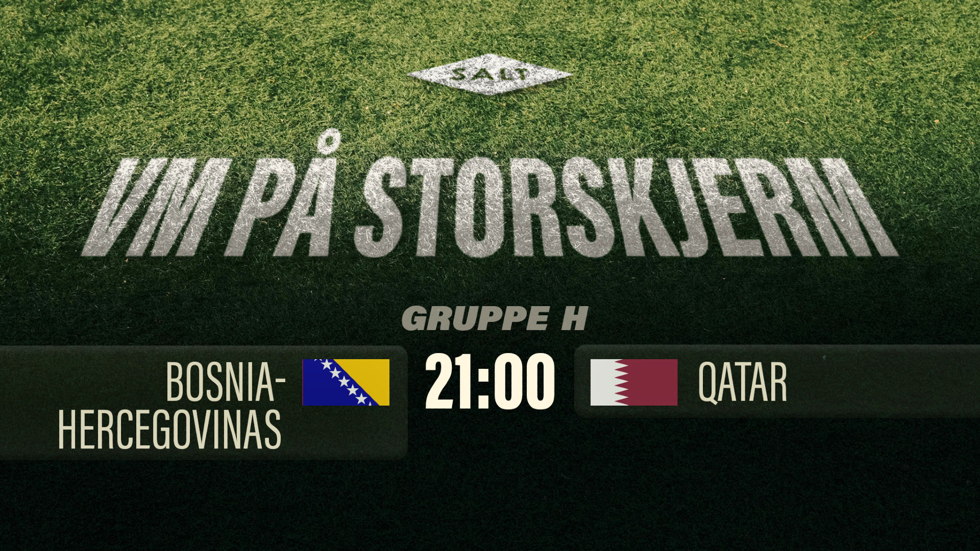 Bosnia-Hercegovinas - Qatar