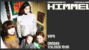 Bilde for arrangement Veps