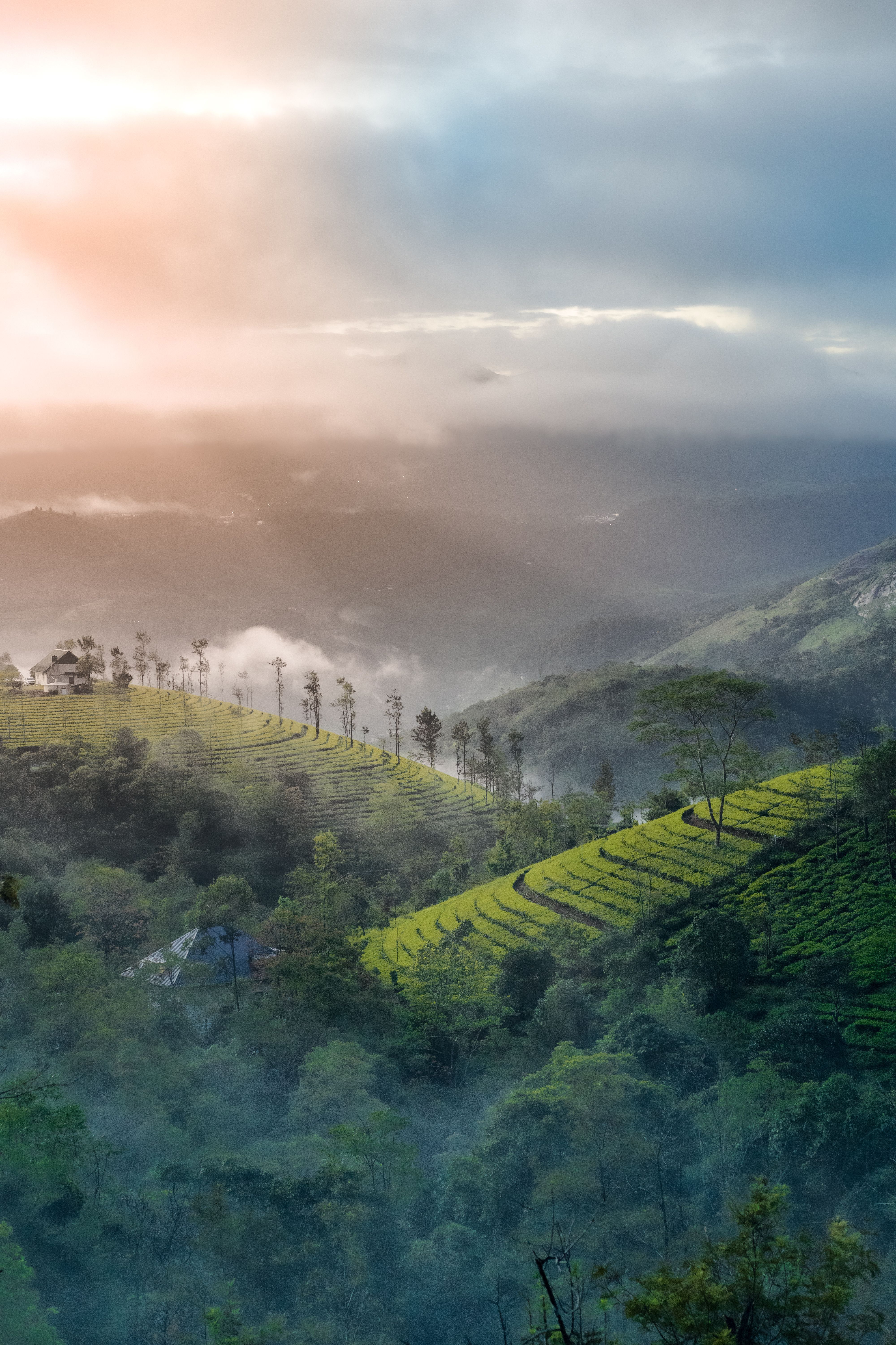 Coorg