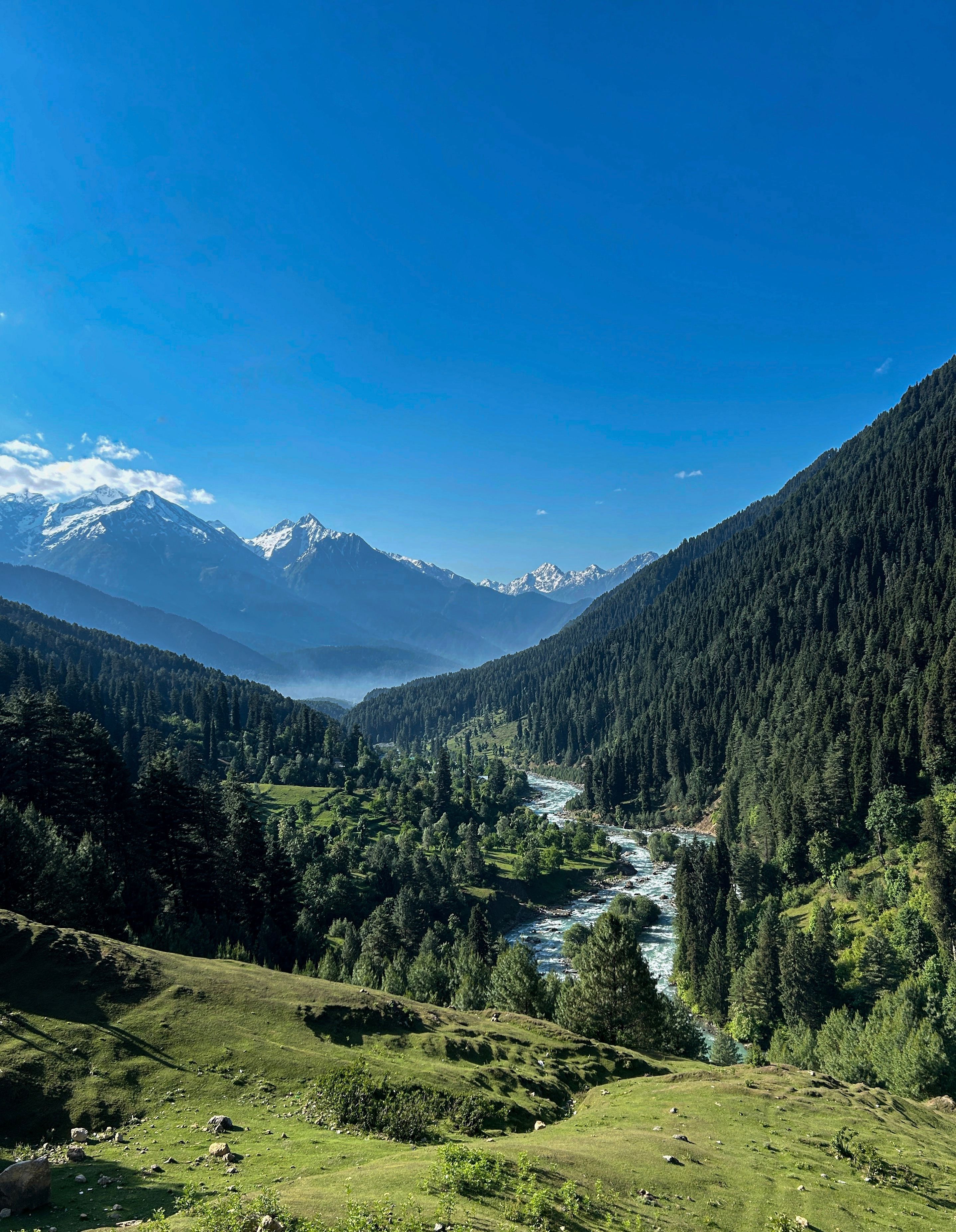 Kashmir