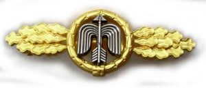 Luftwaffe day fighter clasp in gold