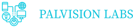 Palvision Labs
