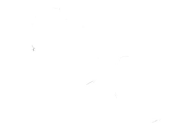 007-0237 