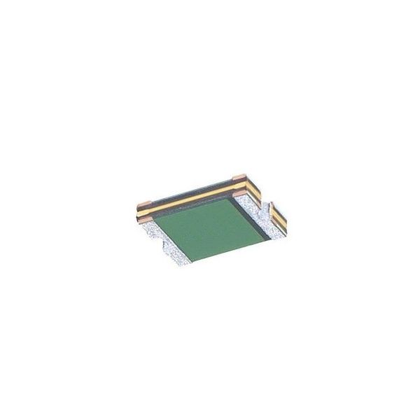 0ZCJ0110AF2C 