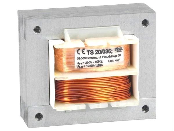 TS20/036 electronic component of Indel