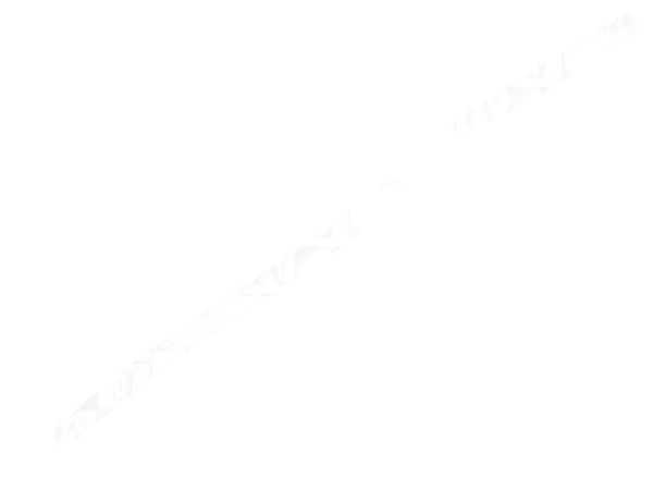 3050002004  Wire & Cable