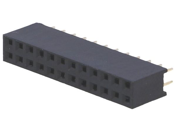 DS1023-2*12S21 electronic component of Connfly