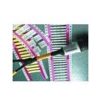 4288010001  Wire & Cable