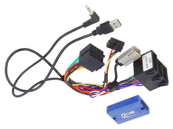 42SJD001-0  Car Audio