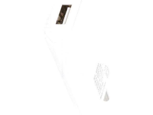 44950 Wall Mount AC Adapters