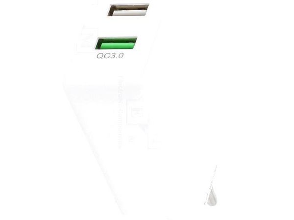 44957 Wall Mount AC Adapters