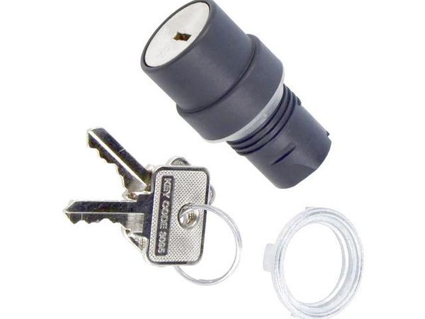 46-2925.1000.7P8 Switch Actuators