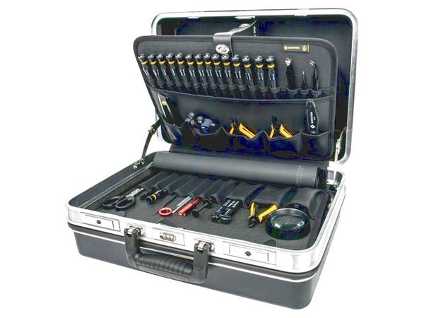 6950 electronic component of Bernstein