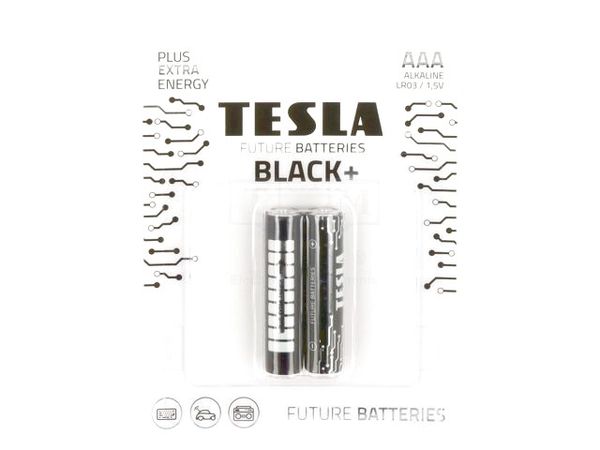 8594183396668 electronic component of TESLA