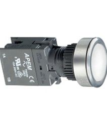 A2147 Pushbutton Switches