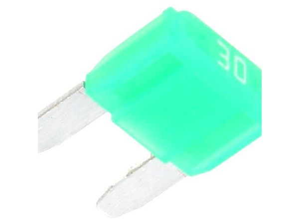ANM-30A Automotive Fuses