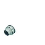 09-0123-80-06 electronic component of Binder