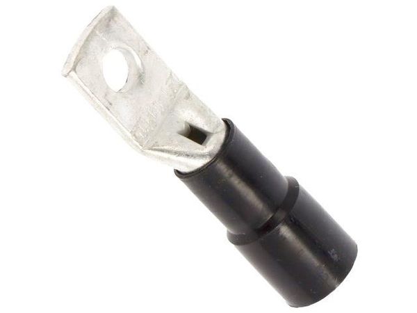 BM005251 Terminals
