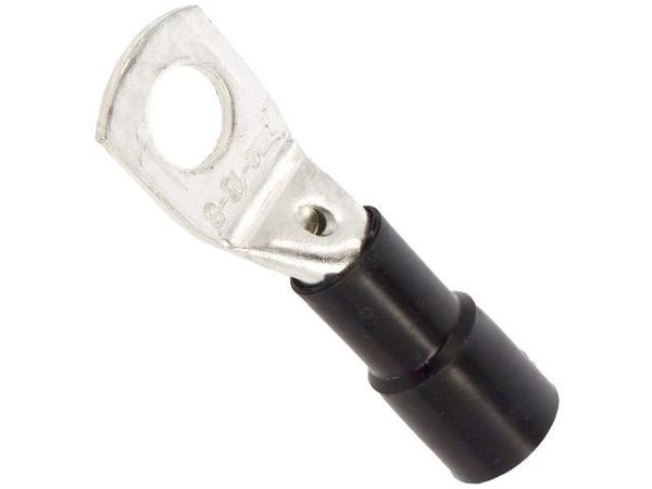 BM005371 Terminals