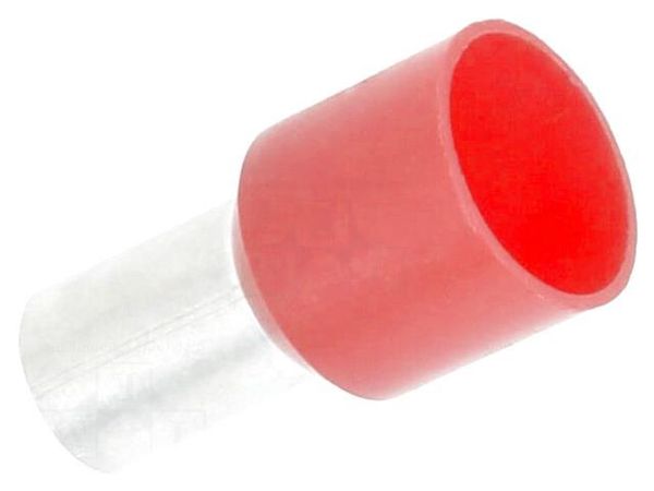 BM006173 