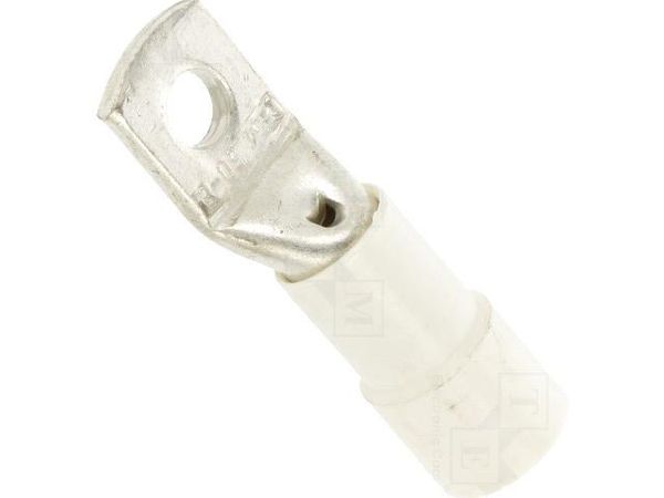 BM00837 Terminals