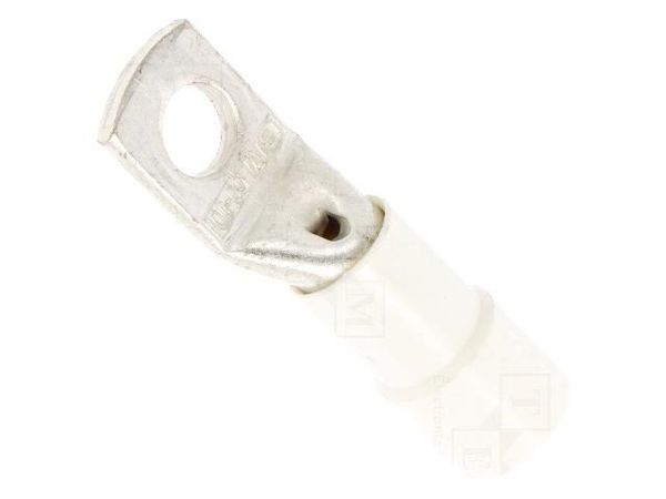 BM00843 Terminals